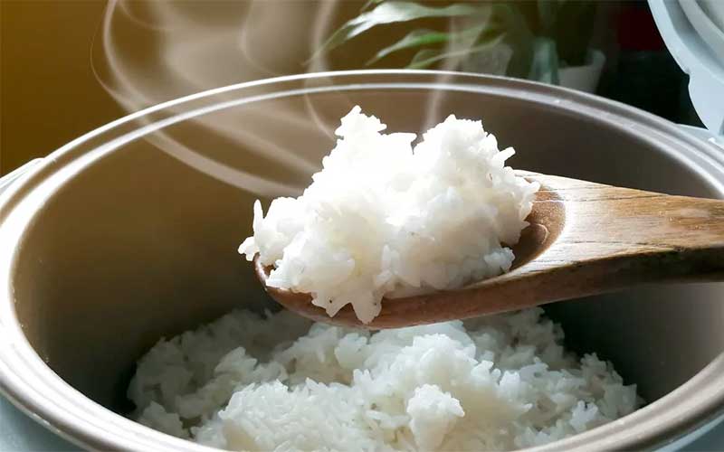 Fakta Makan Nasi Putih Bisa Bikin Gemuk, Cek Jawabannya