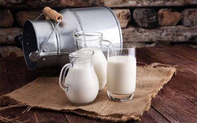 Sehat Mana Susu Panas atau Dingin?
