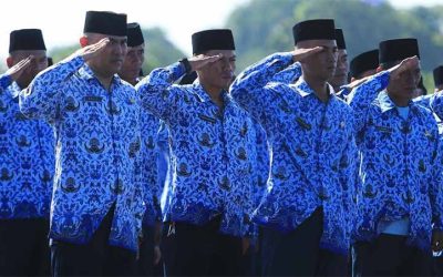 Cara Cek Data Pegawai Non ASN 2024