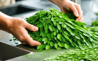 Cara Konsumsi Daun Kelor untuk Kesehatan: Pilihan Terbaik dan Manfaatnya