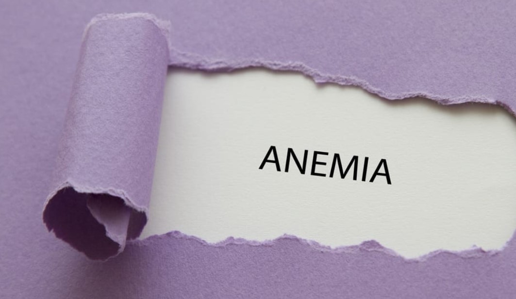 obat-alami-anemia