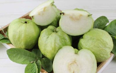 Manfaat Jambu Kristal untuk Ibu Hamil: Nutrisi dan Keuntungan Kesehatan yang Luar Biasa